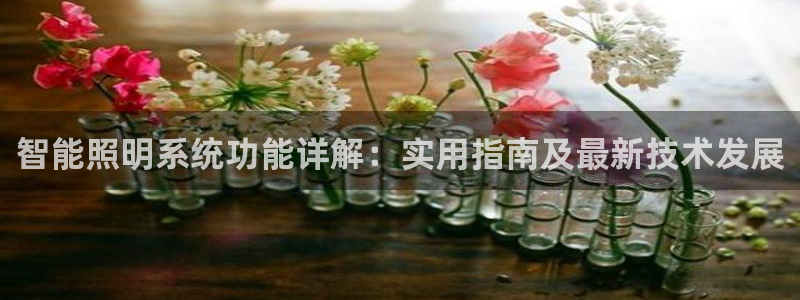 千亿国际内蒙圣懿团队成员名单:智能照明系统功能详解:实用指南及最新技术发展