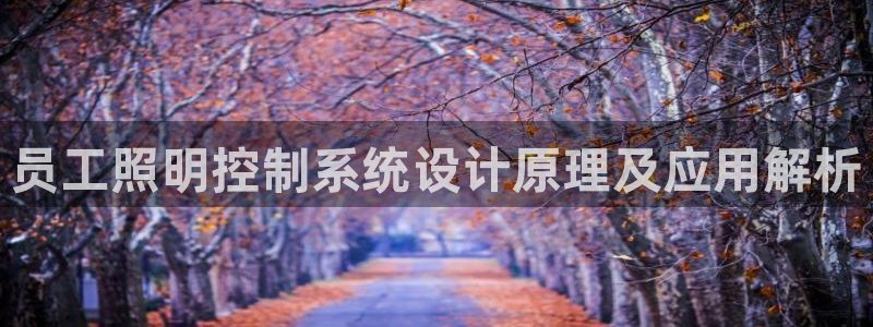 千亿国际休育：员工照明控制系统设计原理及应用解析