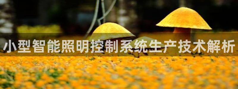 qy98千亿国际玩不了了:小型智能照明控制系统生产技术解析