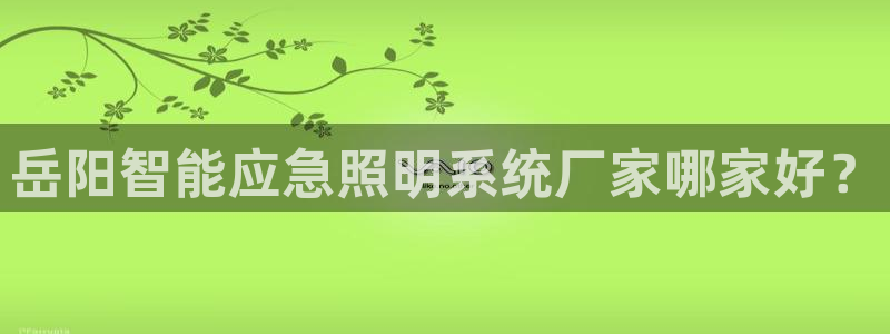千亿国际唯一官方网站登录：岳阳智能应急照