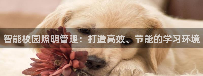 千亿国际欧阳文昊怎么样了:智能校园照明管理:打造高效、节能的学习环境
