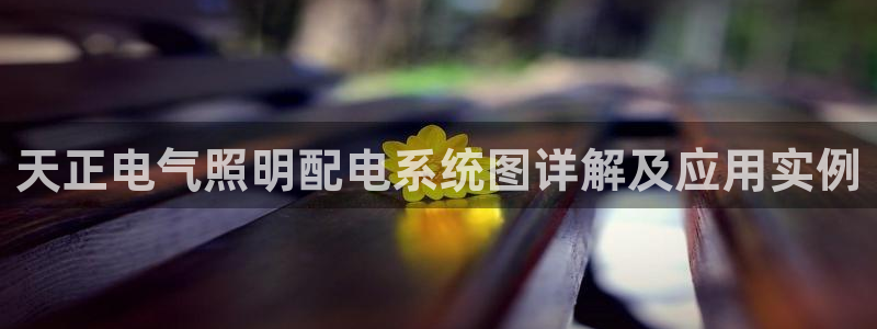 千亿国际手机版yb34点cn：天正电气照