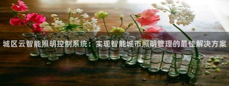 千亿国际的游戏怎么样：城区云智能照明控制