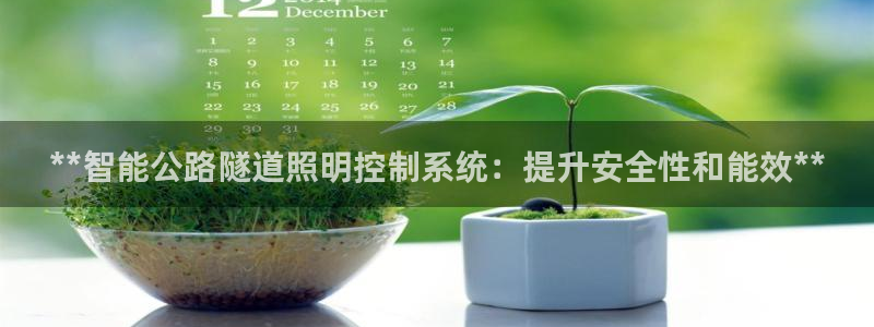 千亿国际唯一官方网站：**智能公路隧道照