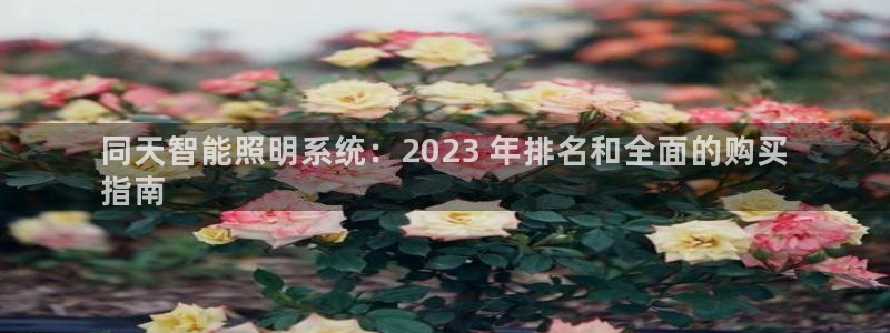千亿国际手机官网:同天智能照明系统:2023 年排名和全面的购买
指南