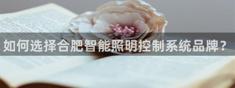 千亿国际是做什么的公司:如何选择合肥智能照明控制系统品牌?