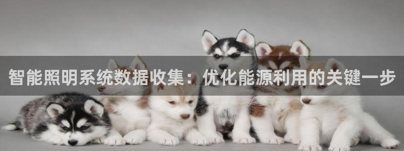 千亿国际2020官方网站pkufli9.